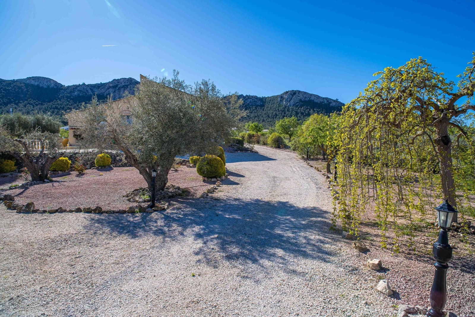 3 bedroom Villa for sale in Abanilla with pool - € 395,000 (Ref: 9894934)