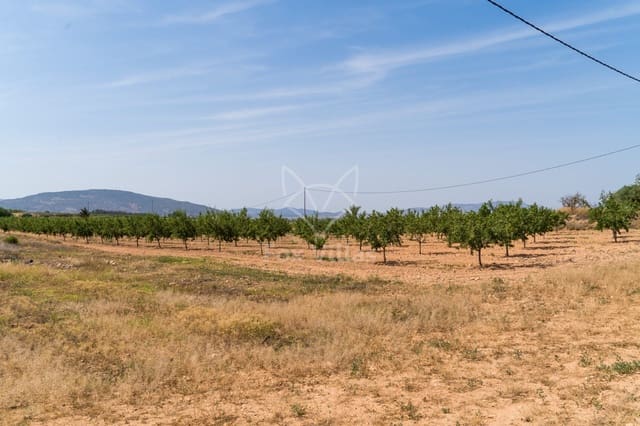 Terreno Não Urbanizado para venda em Pinoso - 65 000 € (Ref: 9894948)