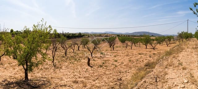 Terreno Não Urbanizado para venda em Pinoso - 65 000 € (Ref: 9894948)