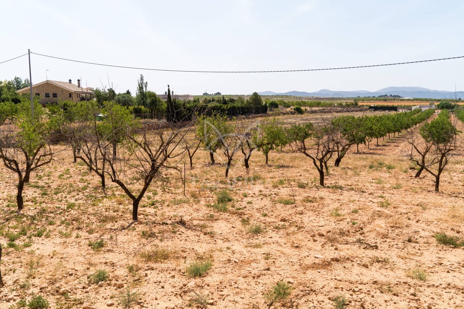 Terreno Não Urbanizado para venda em Pinoso - 65 000 € (Ref: 9894948)