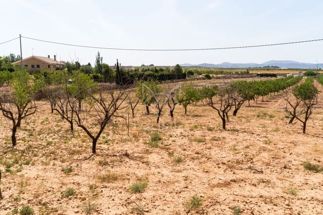 Terreno Não Urbanizado para venda em Pinoso - 65 000 € (Ref: 9894948)
