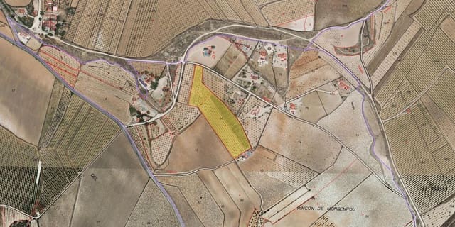 Terreno Não Urbanizado para venda em Pinoso - 65 000 € (Ref: 9894948)
