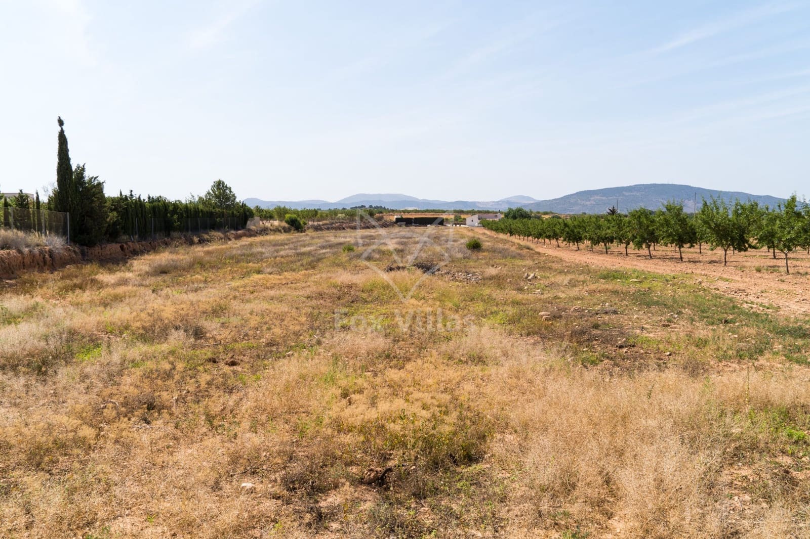 Terreno Não Urbanizado para venda em Pinoso - 65 000 € (Ref: 9894948)