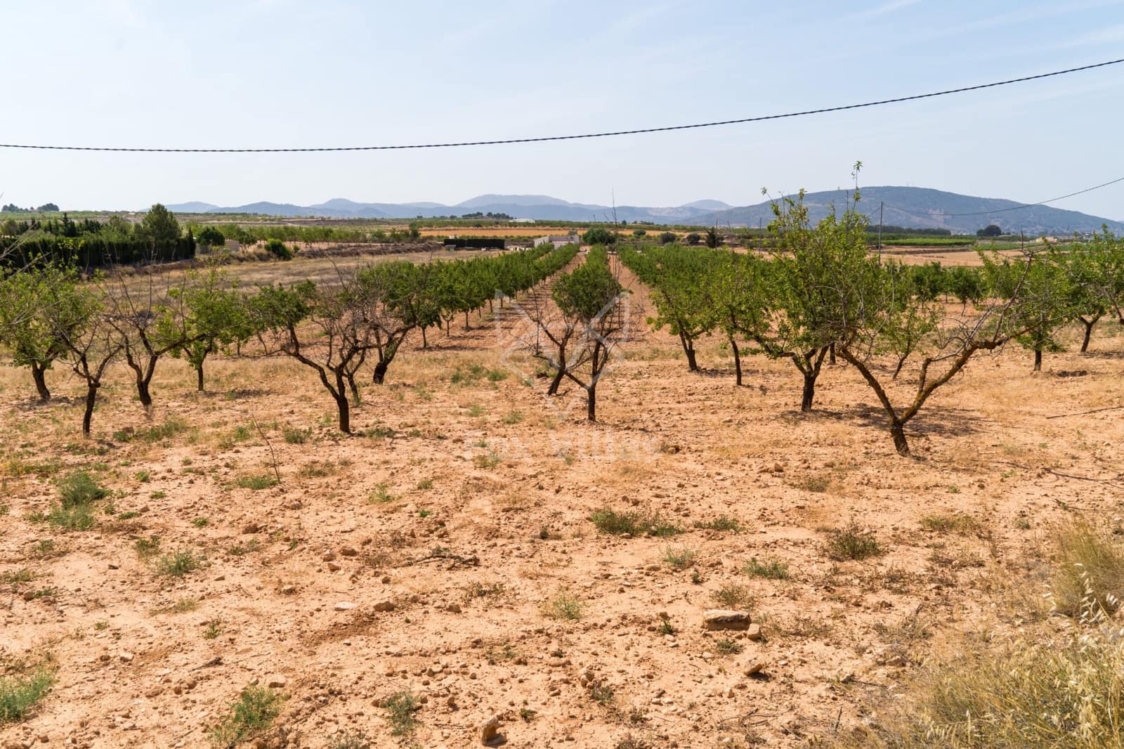 Terreno Não Urbanizado para venda em Pinoso - 65 000 € (Ref: 9894948)