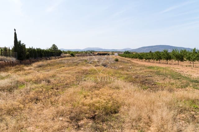 Terreno Não Urbanizado para venda em Pinoso - 65 000 € (Ref: 9894948)