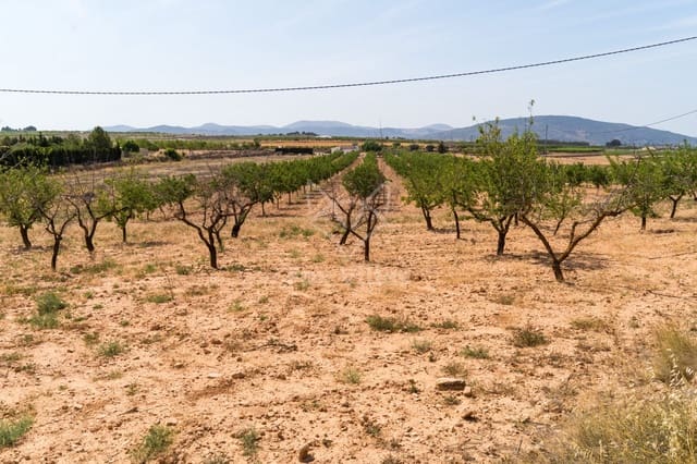 Terreno Não Urbanizado para venda em Pinoso - 65 000 € (Ref: 9894948)