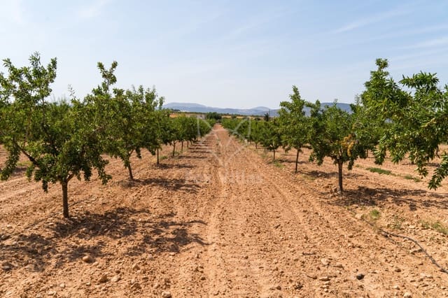Terreno Não Urbanizado para venda em Pinoso - 65 000 € (Ref: 9894948)