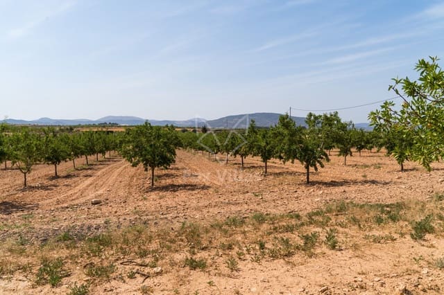 Terreno Não Urbanizado para venda em Pinoso - 65 000 € (Ref: 9894948)