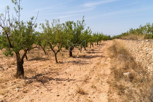 Terreno Não Urbanizado para venda em Pinoso - 65 000 € (Ref: 9894948)