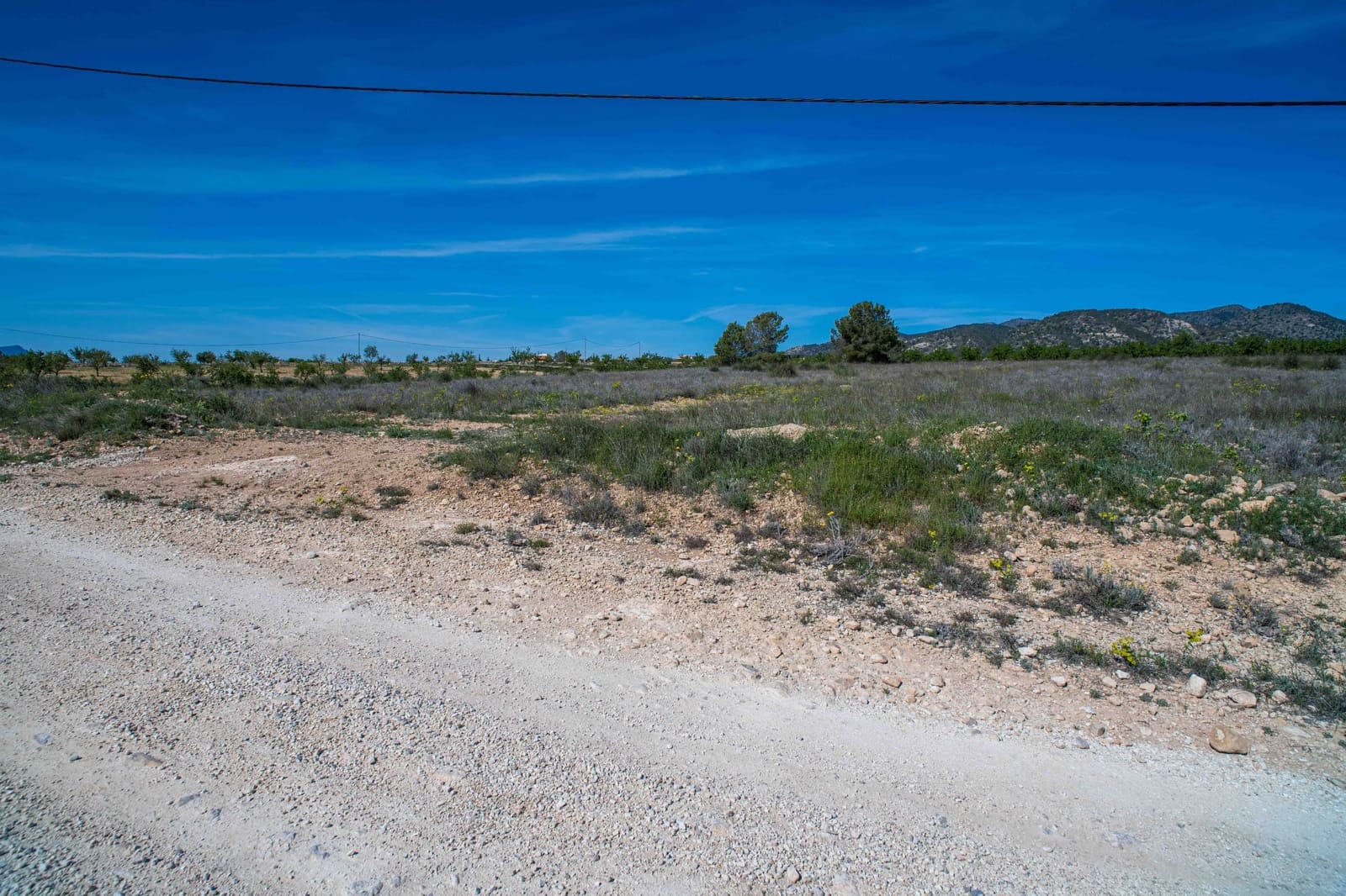 Undeveloped Land for sale in Pinoso - € 48,000 (Ref: 9894951)