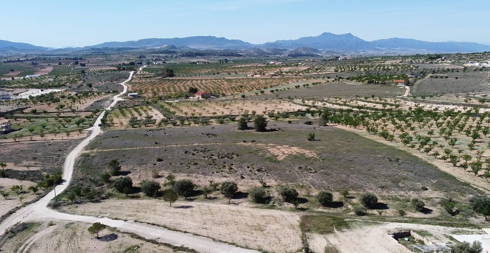 Undeveloped Land for sale in Pinoso - € 48,000 (Ref: 9894951)