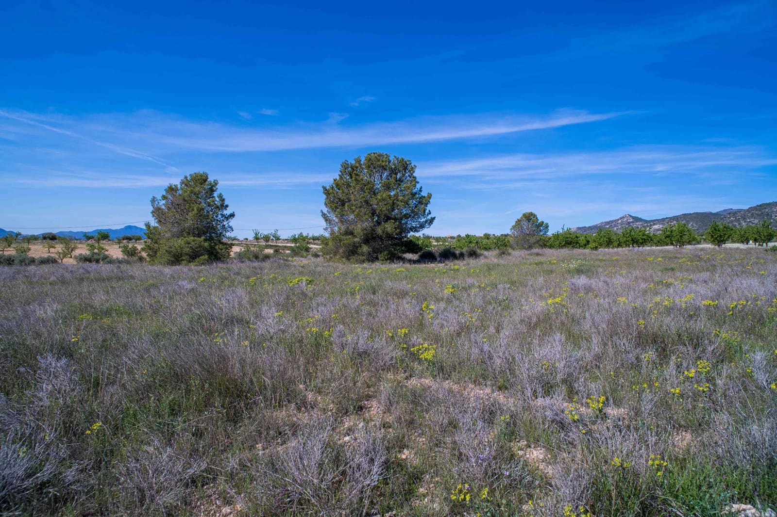 Undeveloped Land for sale in Pinoso - € 48,000 (Ref: 9894951)