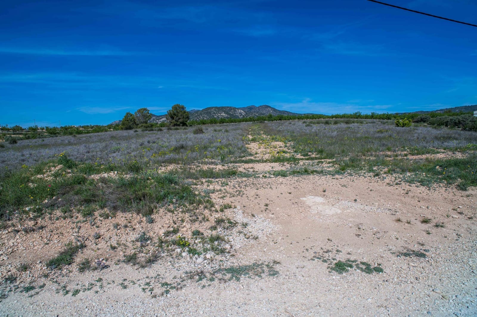 Undeveloped Land for sale in Pinoso - € 48,000 (Ref: 9894951)