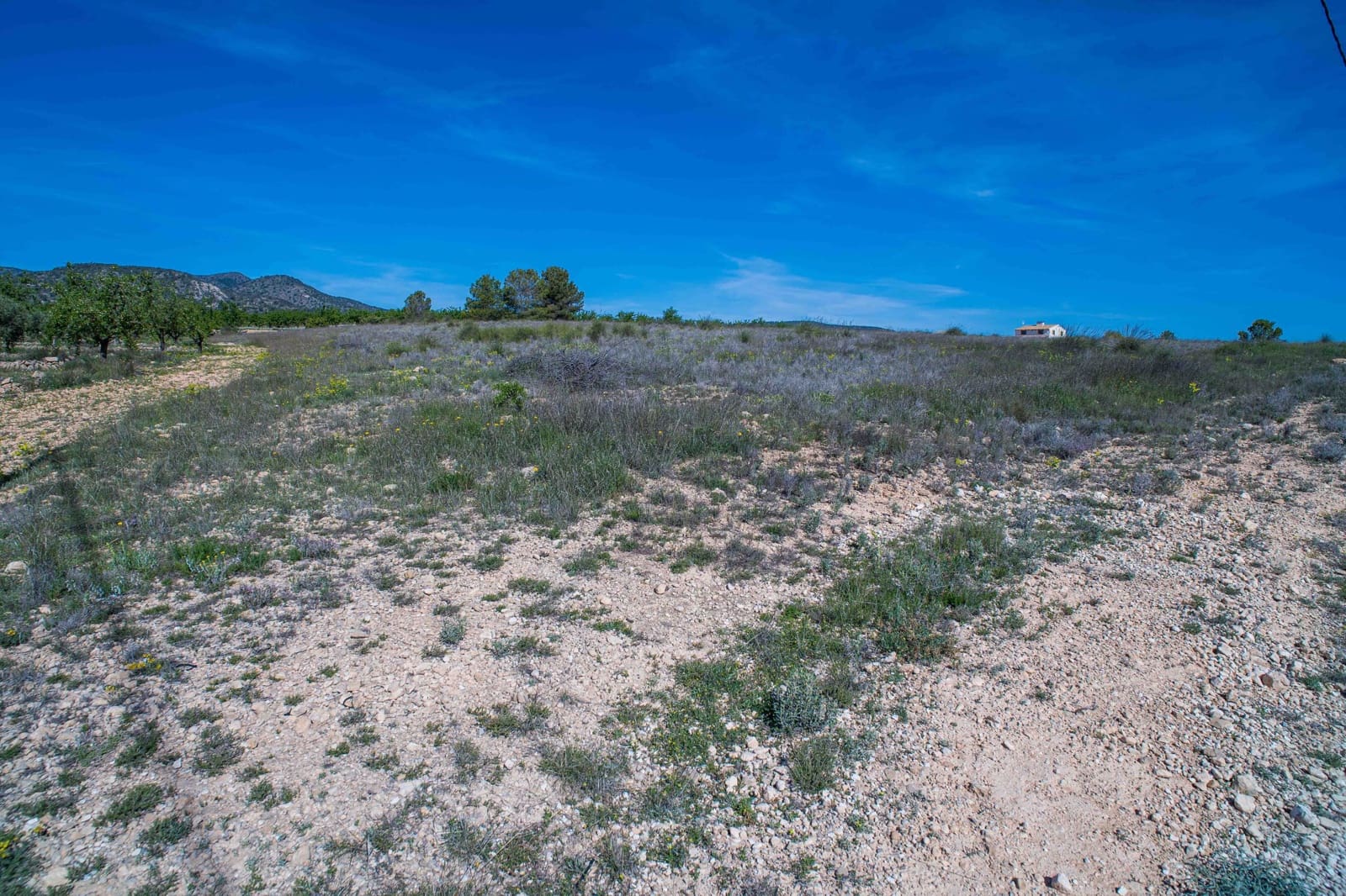 Undeveloped Land for sale in Pinoso - € 48,000 (Ref: 9894951)