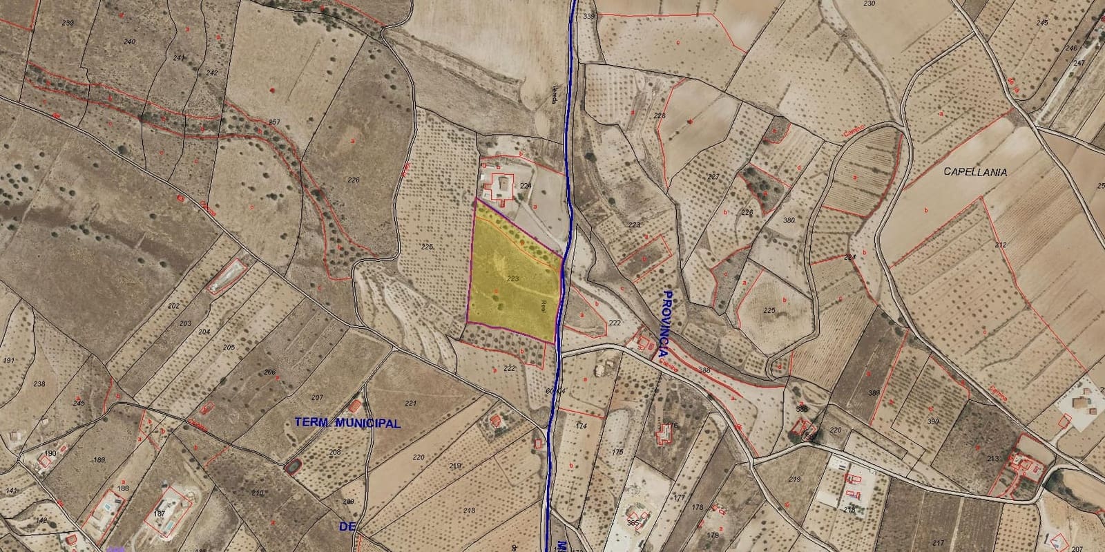 Undeveloped Land for sale in Pinoso - € 48,000 (Ref: 9894951)
