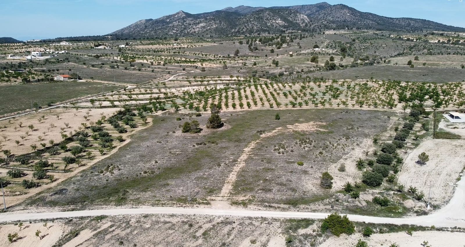 Undeveloped Land for sale in Pinoso - € 48,000 (Ref: 9894951)