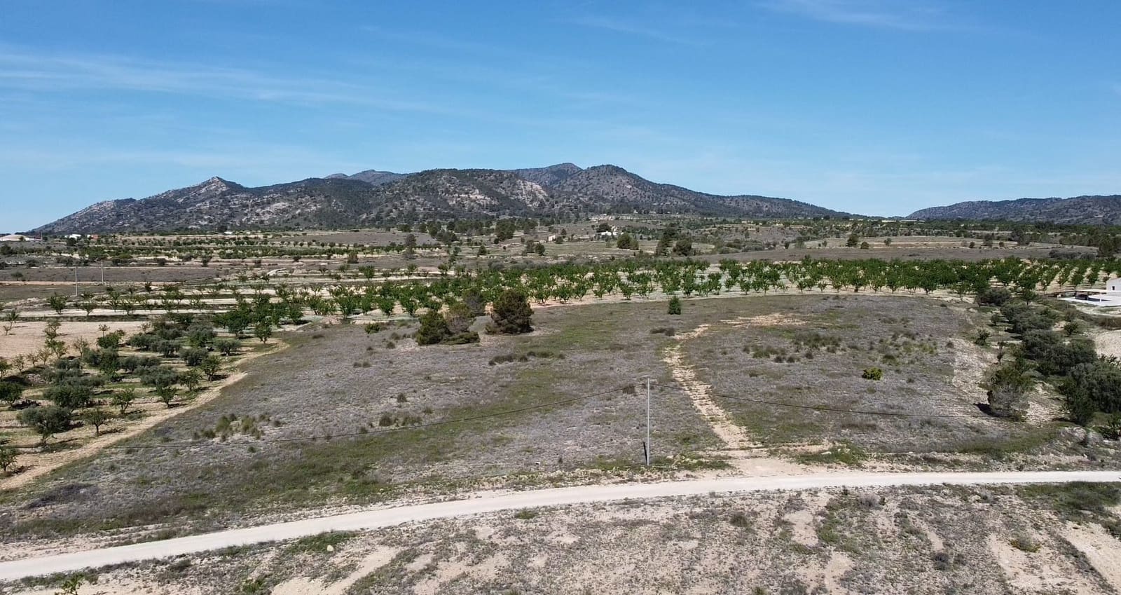 Undeveloped Land for sale in Pinoso - € 48,000 (Ref: 9894951)
