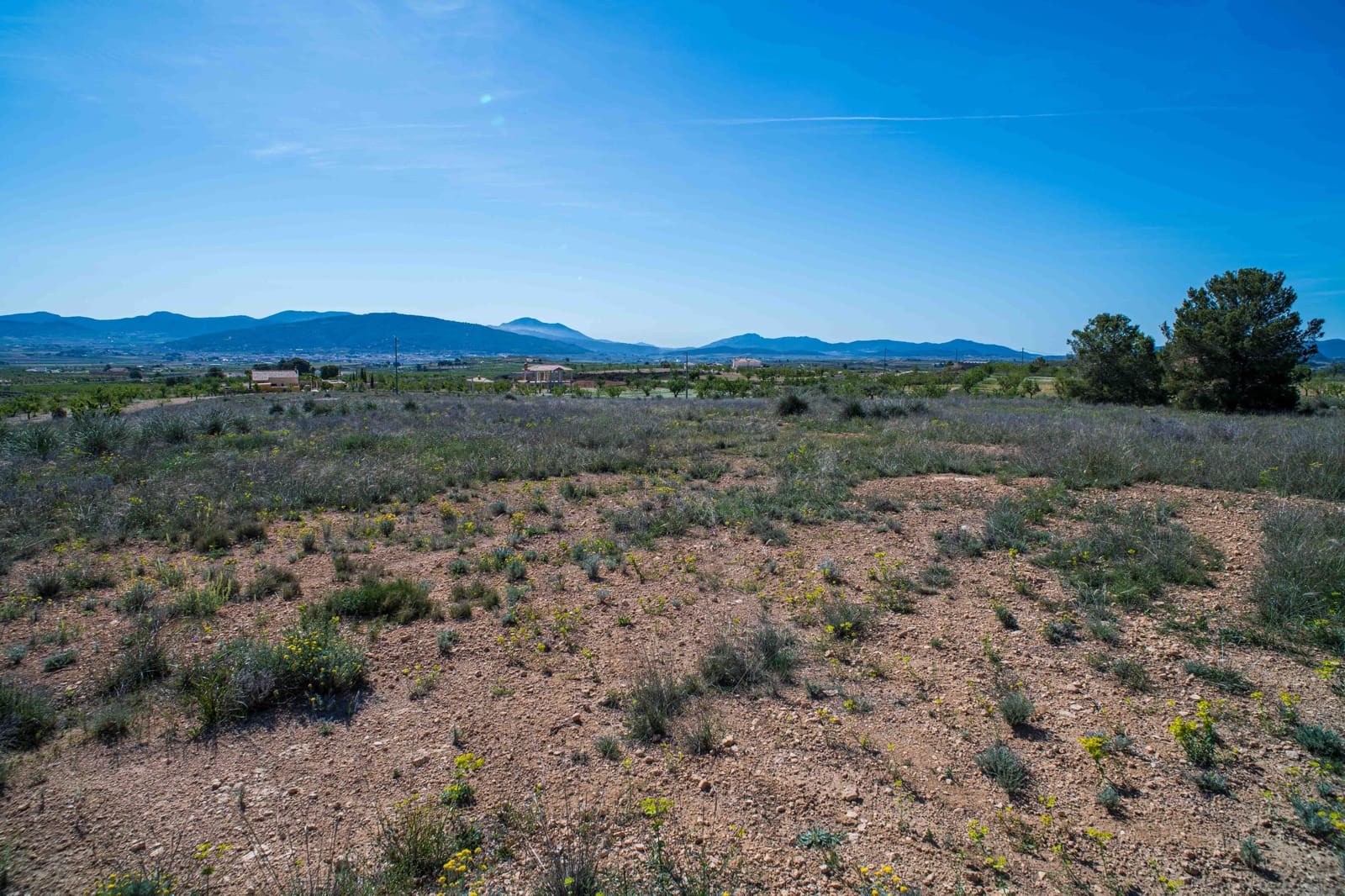 Undeveloped Land for sale in Pinoso - € 48,000 (Ref: 9894951)