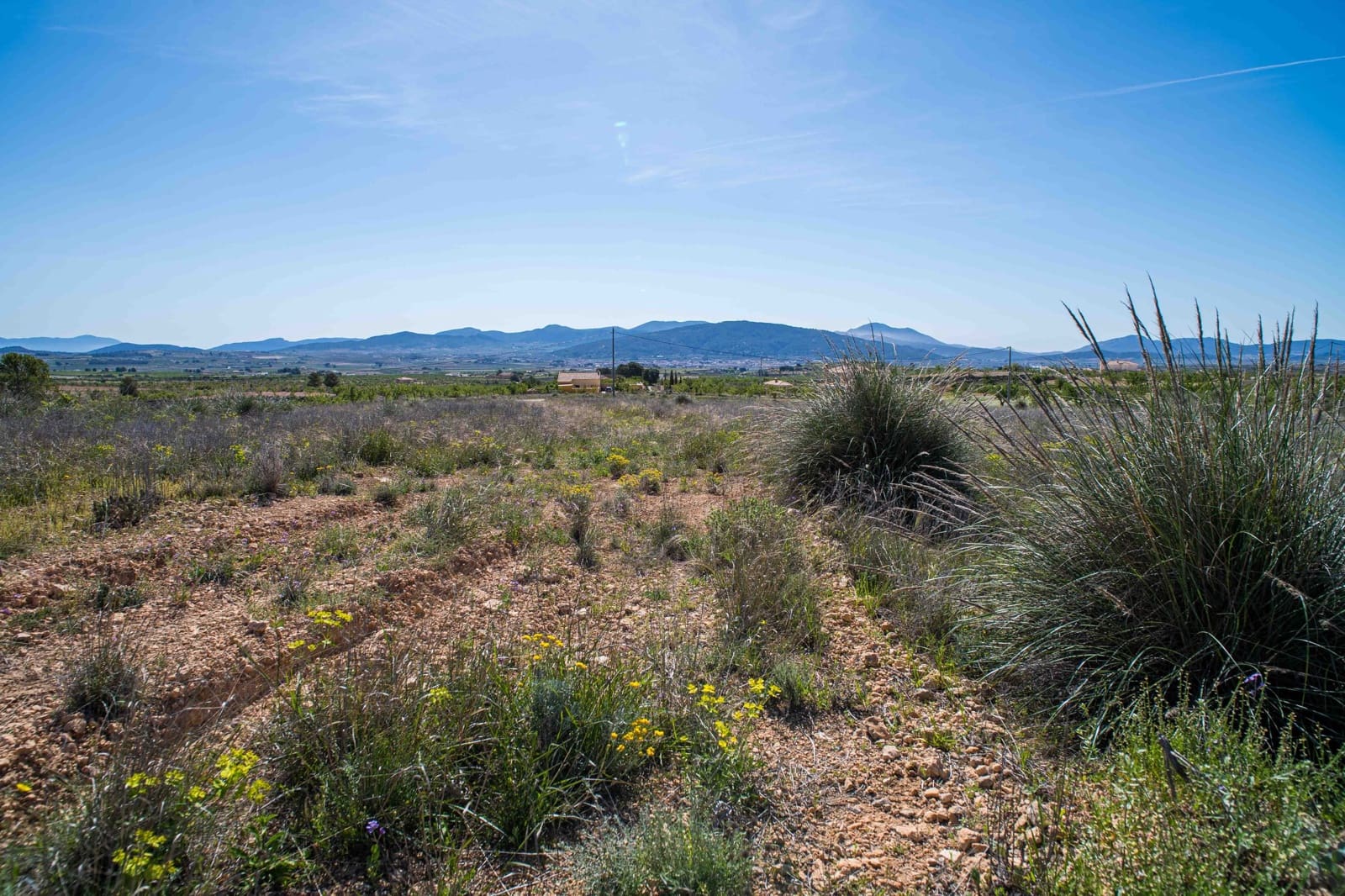 Undeveloped Land for sale in Pinoso - € 48,000 (Ref: 9894951)