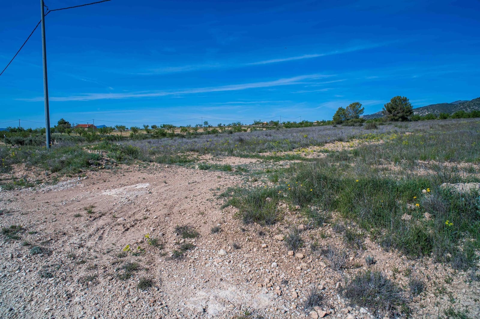 Undeveloped Land for sale in Pinoso - € 48,000 (Ref: 9894951)