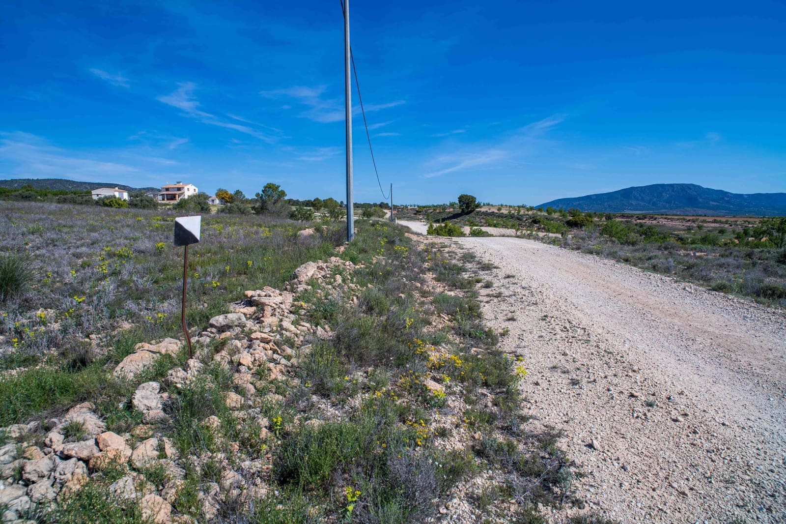 Undeveloped Land for sale in Pinoso - € 48,000 (Ref: 9894951)