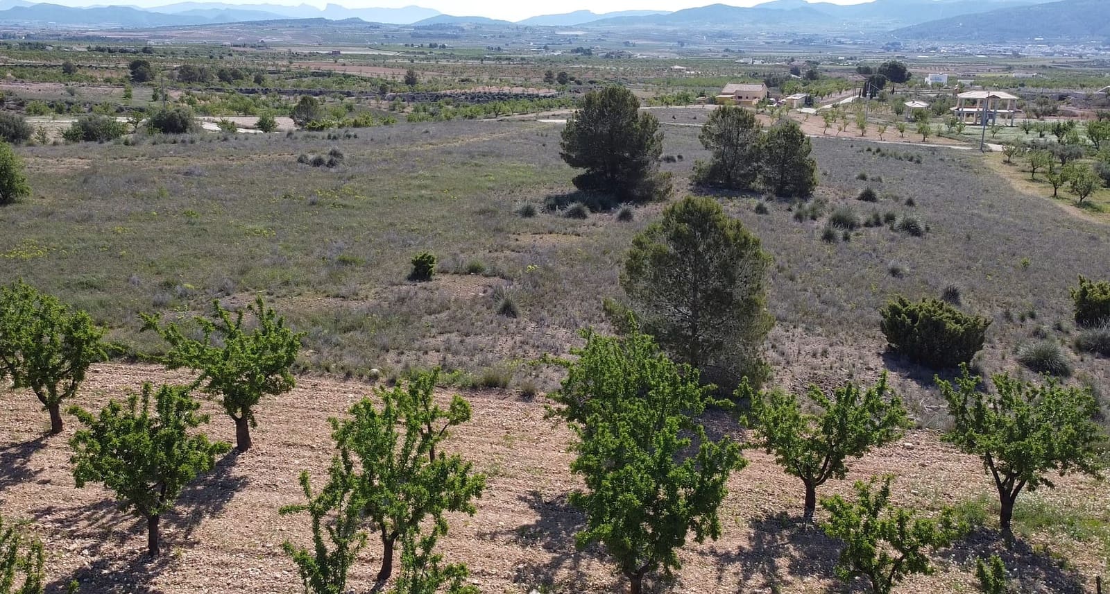 Undeveloped Land for sale in Pinoso - € 48,000 (Ref: 9894951)