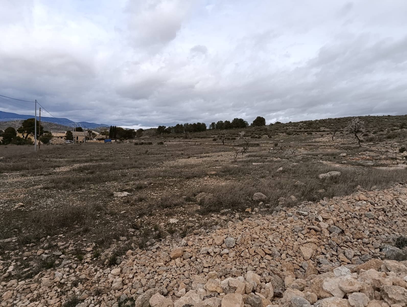 Terre non Aménagée à vendre à Abanilla - 65 000 € (Ref: 9894952)