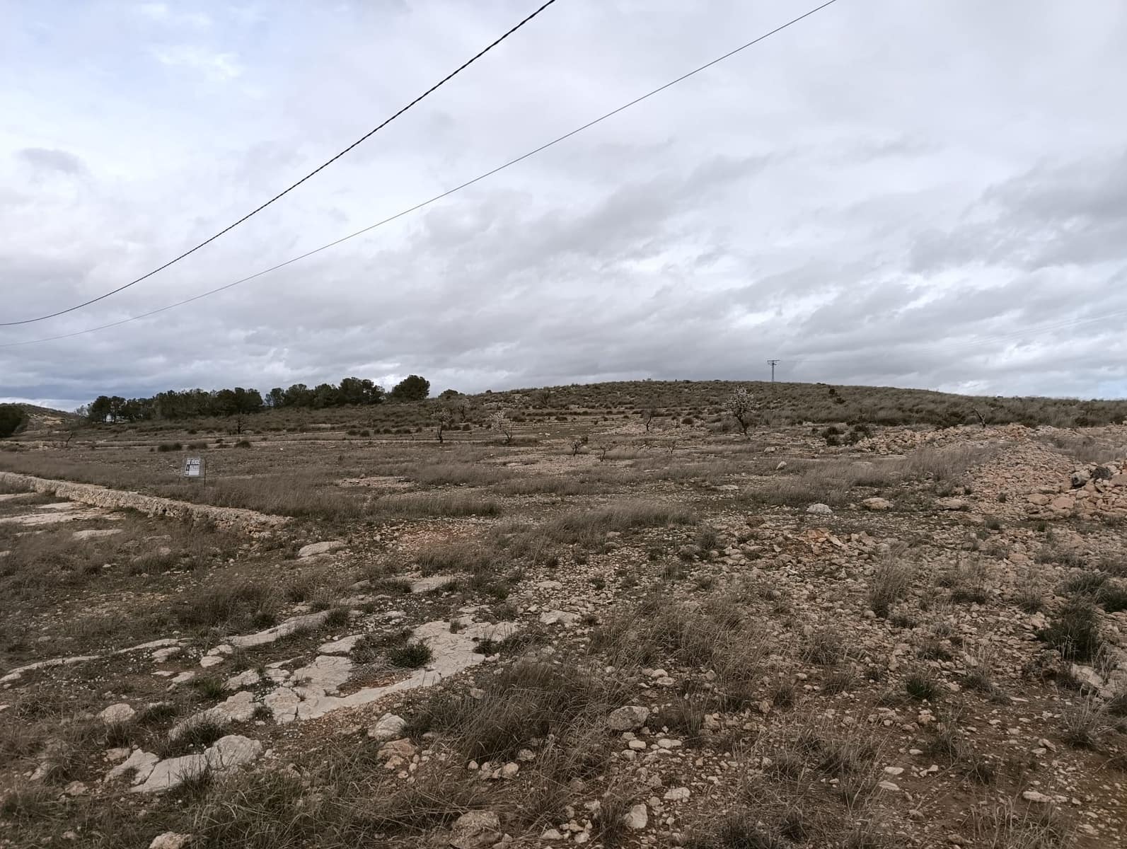Terre non Aménagée à vendre à Abanilla - 65 000 € (Ref: 9894952)