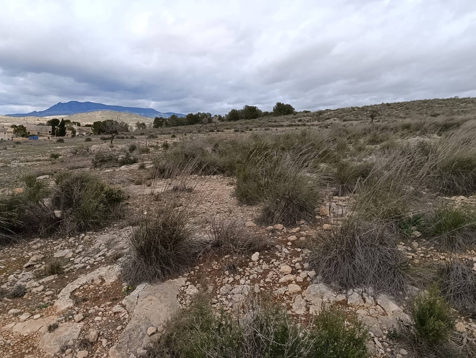 Terre non Aménagée à vendre à Abanilla - 65 000 € (Ref: 9894952)
