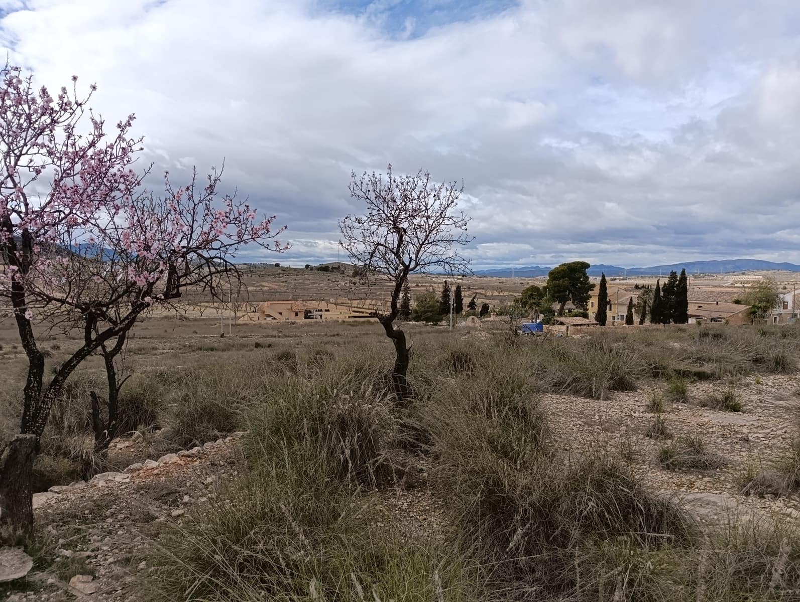 Terre non Aménagée à vendre à Abanilla - 65 000 € (Ref: 9894952)