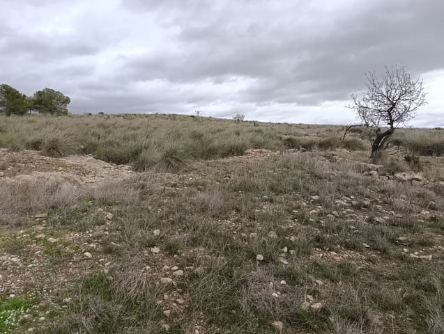 Terre non Aménagée à vendre à Abanilla - 65 000 € (Ref: 9894952)