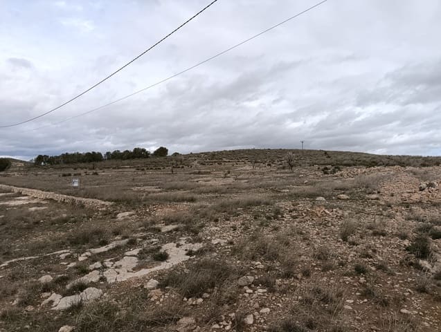 Terre non Aménagée à vendre à Abanilla - 65 000 € (Ref: 9894952)