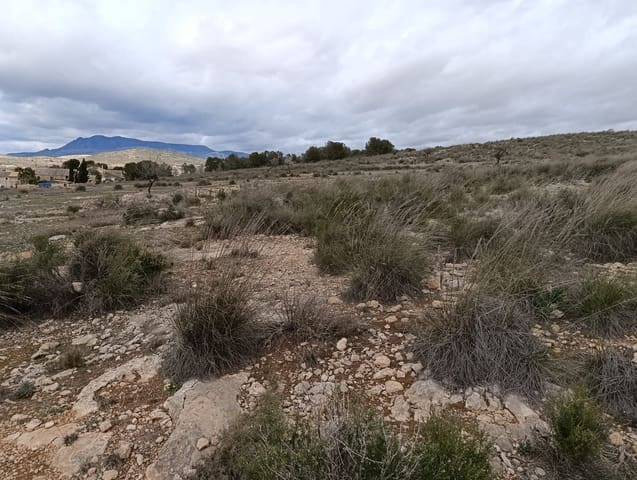 Terre non Aménagée à vendre à Abanilla - 65 000 € (Ref: 9894952)