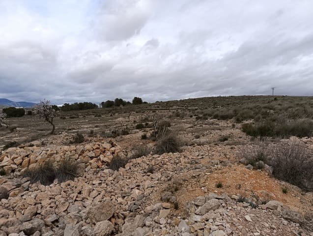 Terre non Aménagée à vendre à Abanilla - 65 000 € (Ref: 9894952)