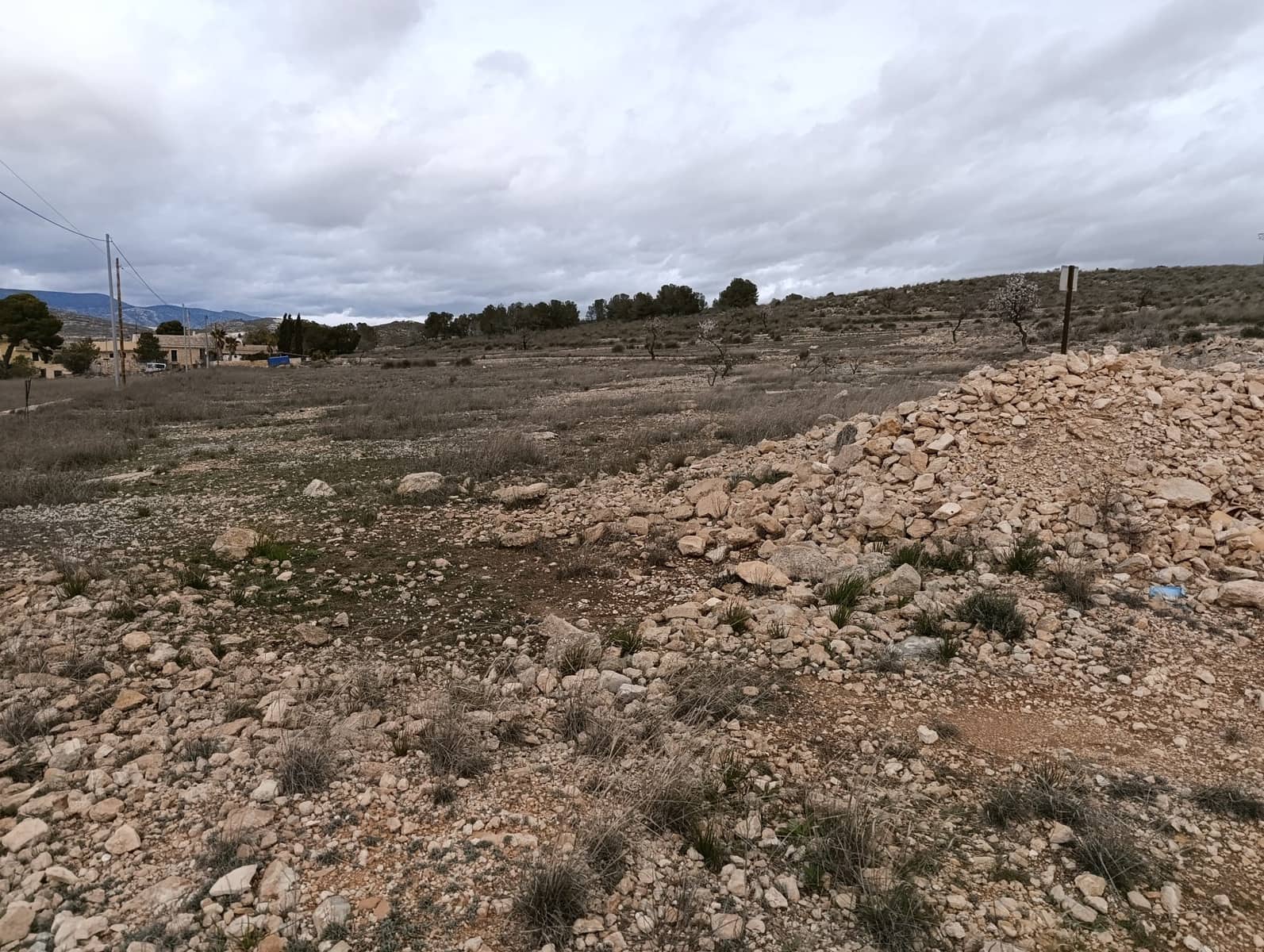Terre non Aménagée à vendre à Abanilla - 65 000 € (Ref: 9894952)