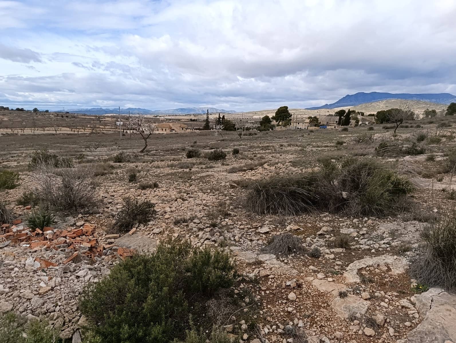 Terre non Aménagée à vendre à Abanilla - 65 000 € (Ref: 9894952)