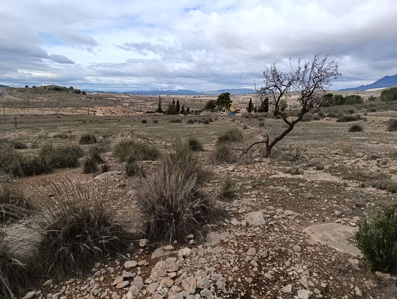 Terre non Aménagée à vendre à Abanilla - 65 000 € (Ref: 9894952)
