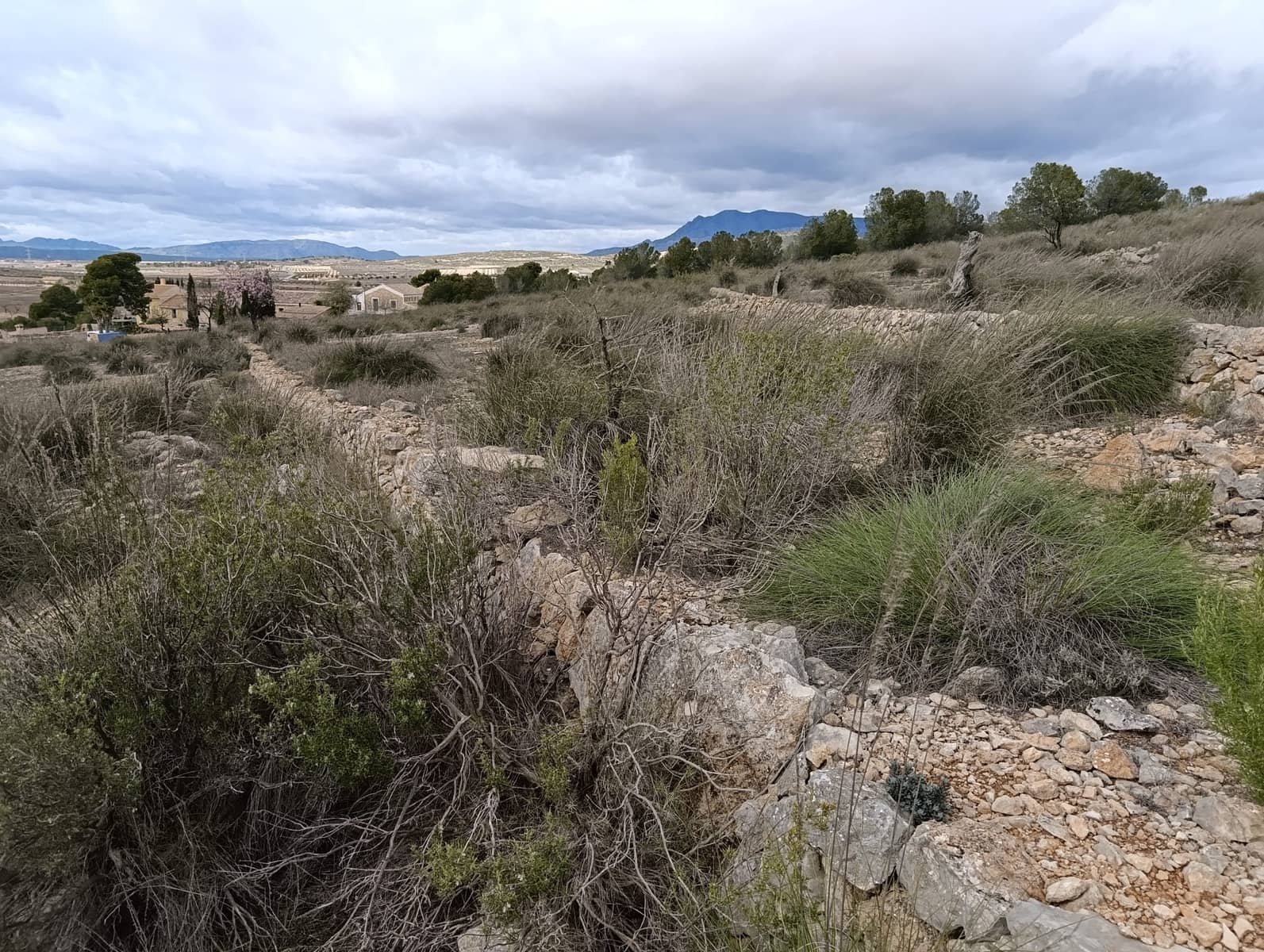 Terre non Aménagée à vendre à Abanilla - 65 000 € (Ref: 9894952)