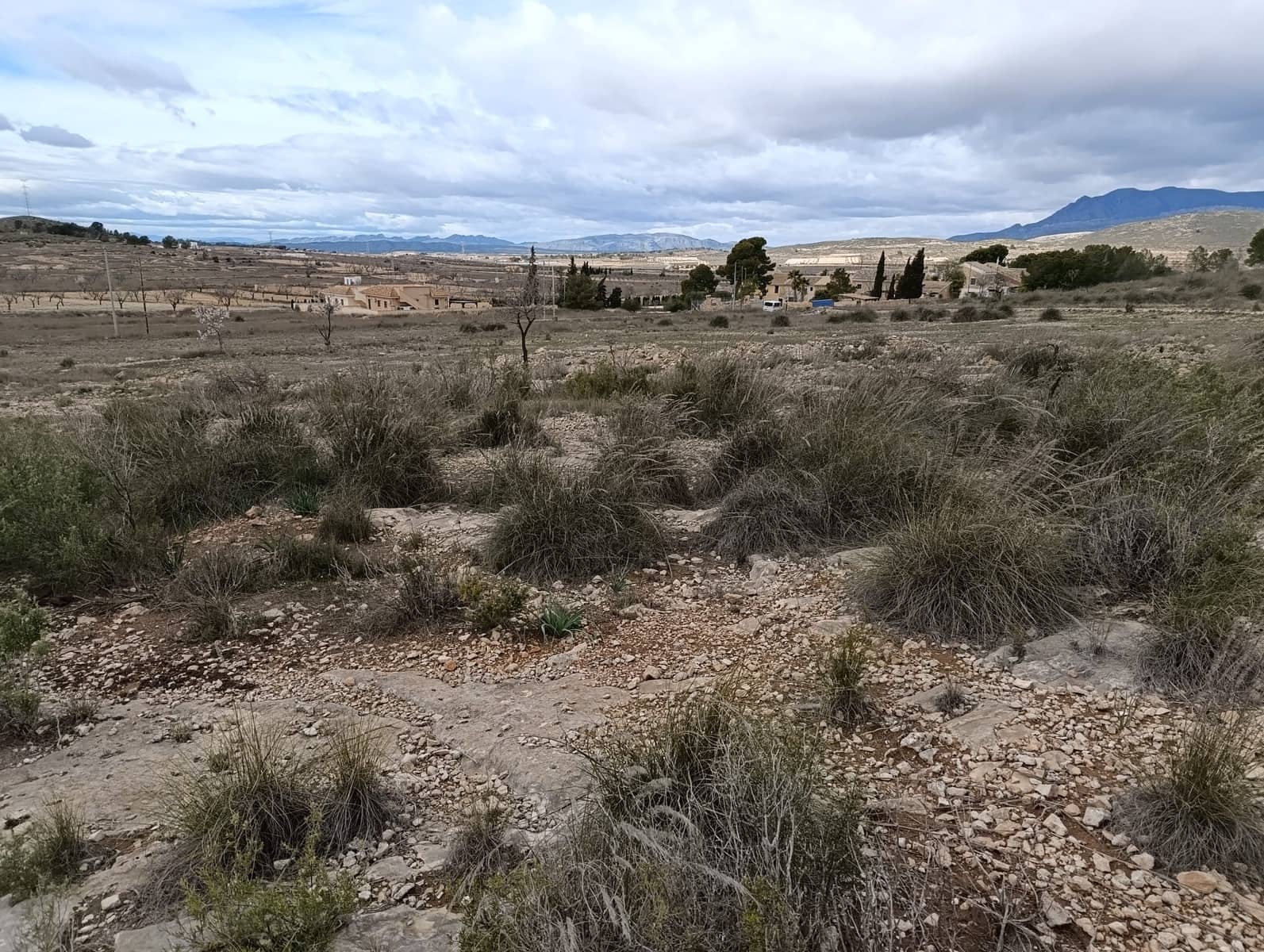 Terre non Aménagée à vendre à Abanilla - 65 000 € (Ref: 9894952)