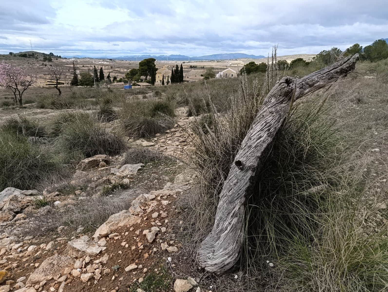 Terre non Aménagée à vendre à Abanilla - 65 000 € (Ref: 9894952)