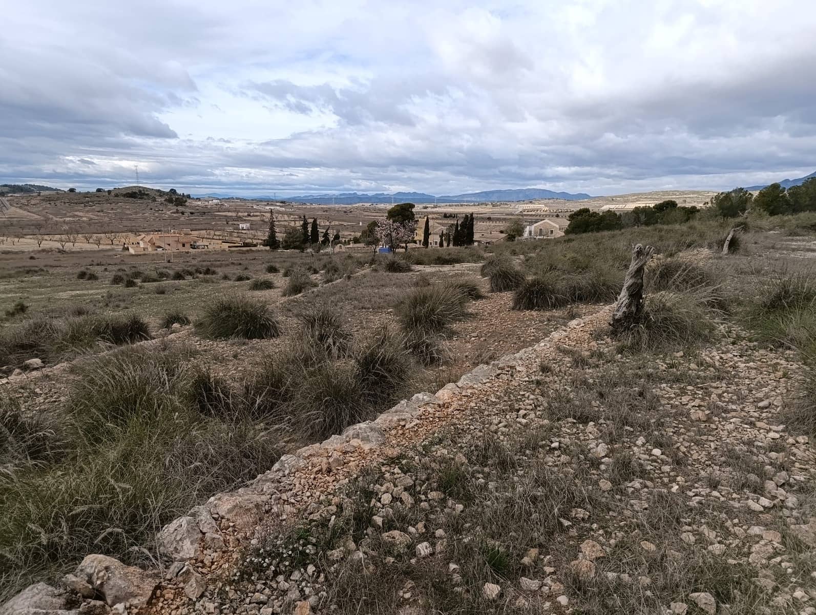 Terre non Aménagée à vendre à Abanilla - 65 000 € (Ref: 9894952)