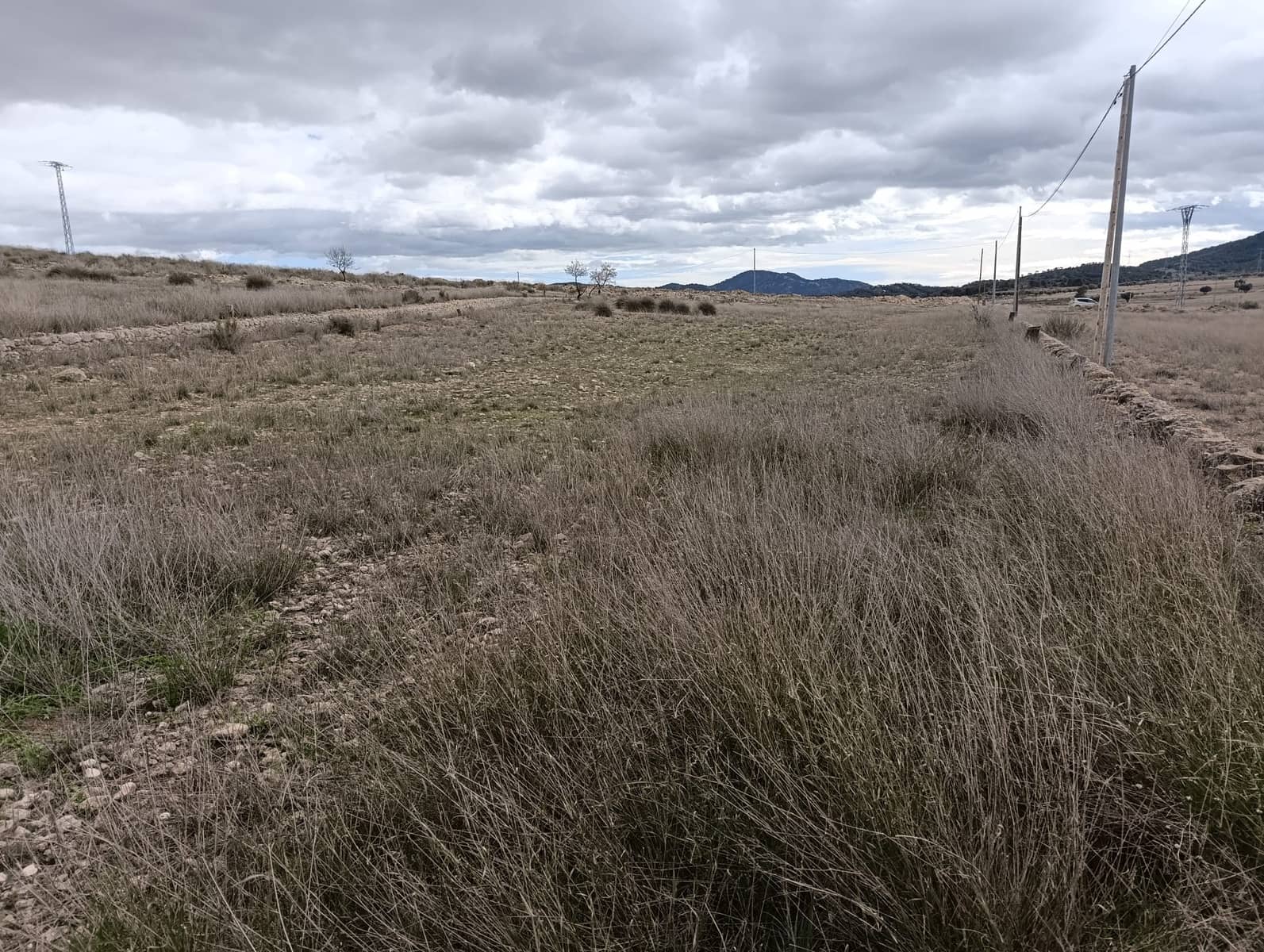 Terre non Aménagée à vendre à Abanilla - 65 000 € (Ref: 9894952)