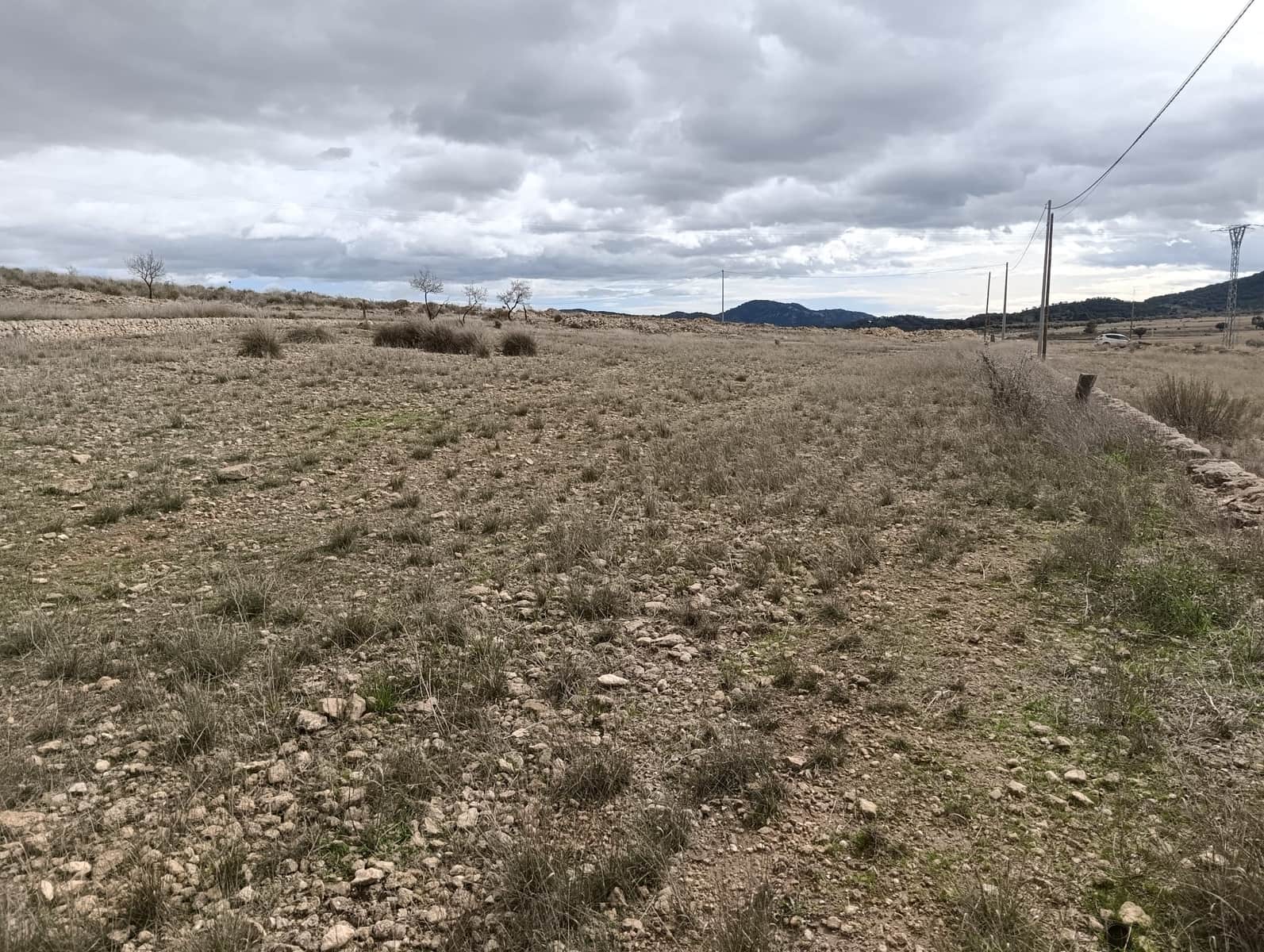Terre non Aménagée à vendre à Abanilla - 65 000 € (Ref: 9894952)