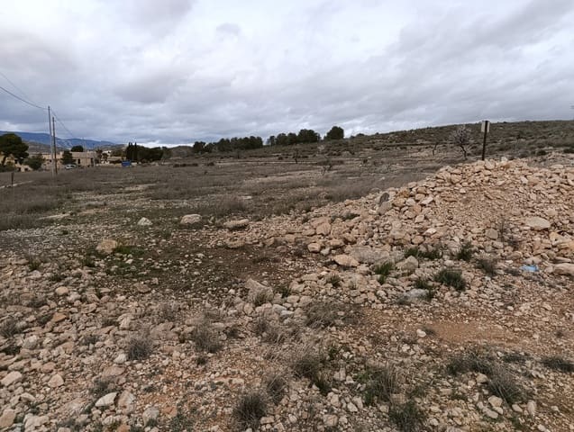 Terre non Aménagée à vendre à Abanilla - 65 000 € (Ref: 9894952)