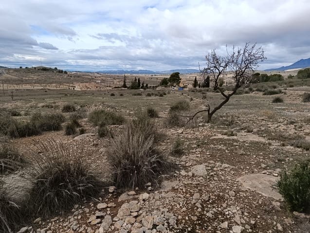 Terre non Aménagée à vendre à Abanilla - 65 000 € (Ref: 9894952)