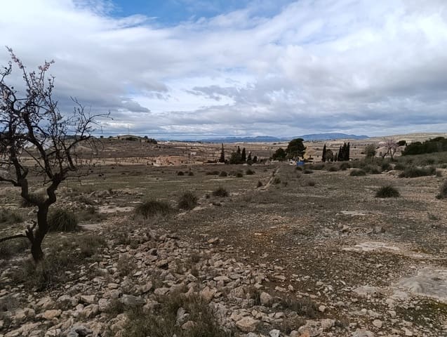 Terre non Aménagée à vendre à Abanilla - 65 000 € (Ref: 9894952)