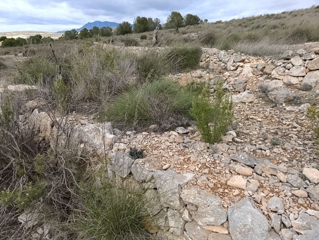 Terre non Aménagée à vendre à Abanilla - 65 000 € (Ref: 9894952)