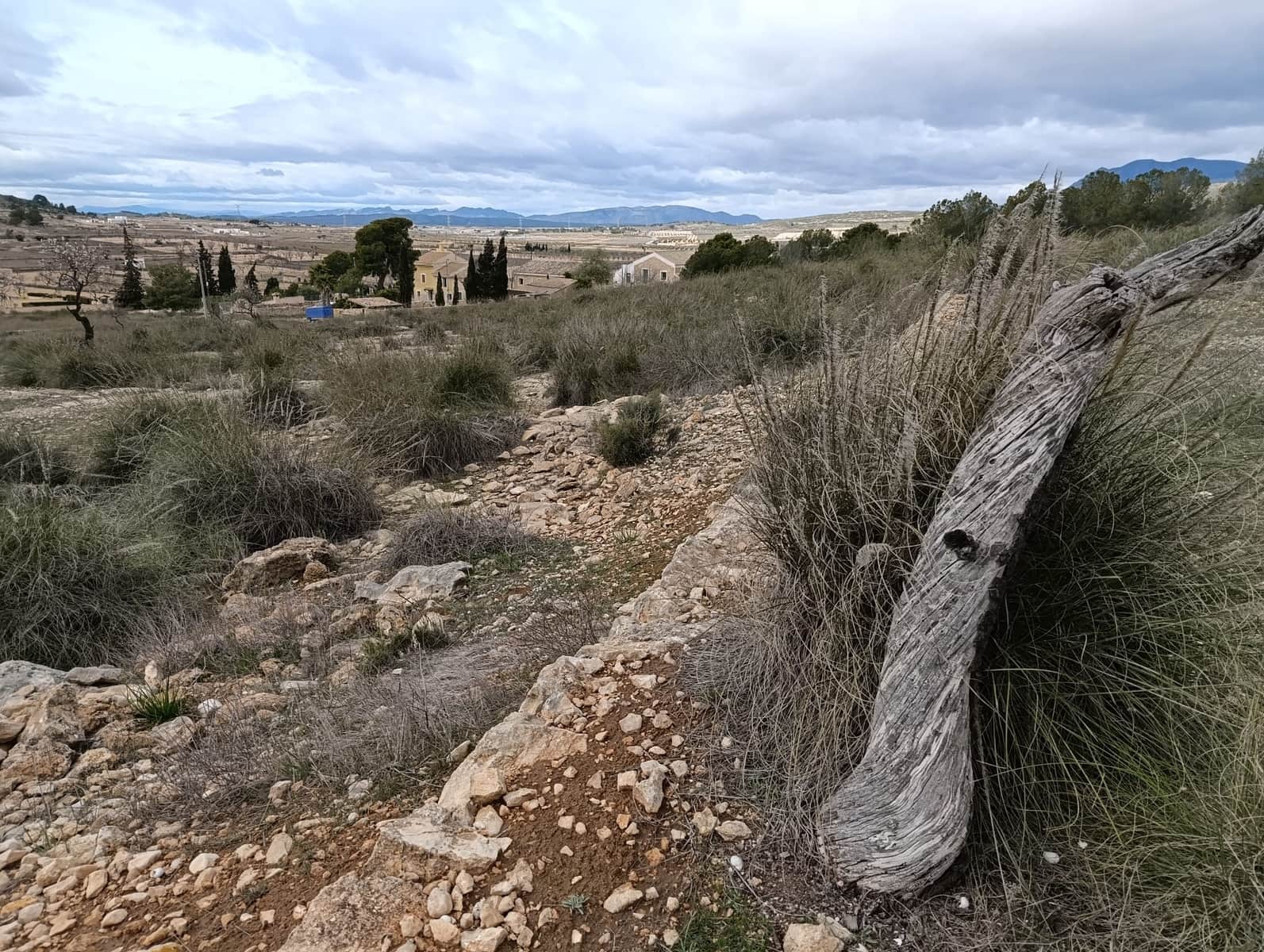 Terre non Aménagée à vendre à Abanilla - 65 000 € (Ref: 9894952)