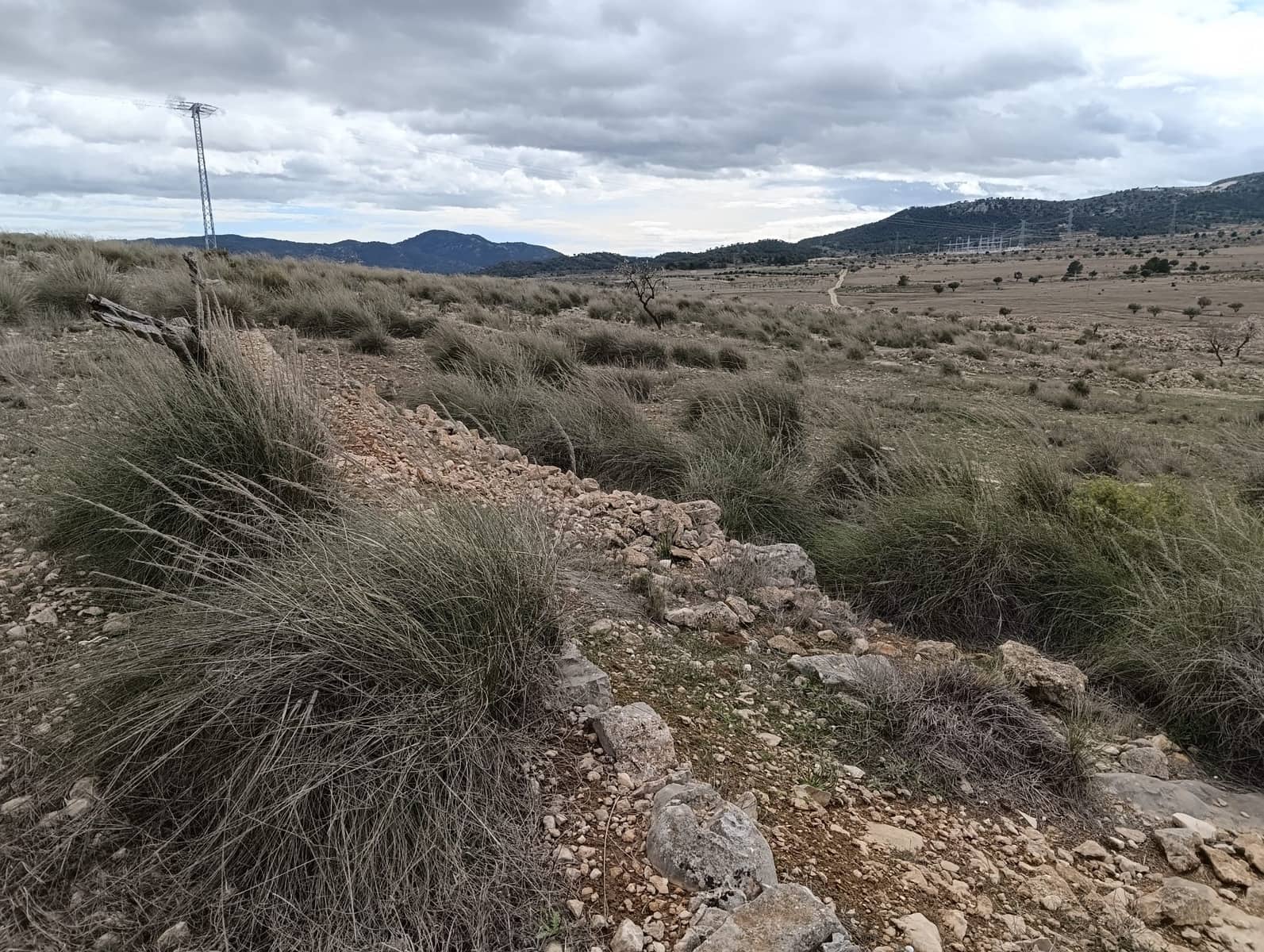 Terre non Aménagée à vendre à Abanilla - 65 000 € (Ref: 9894952)