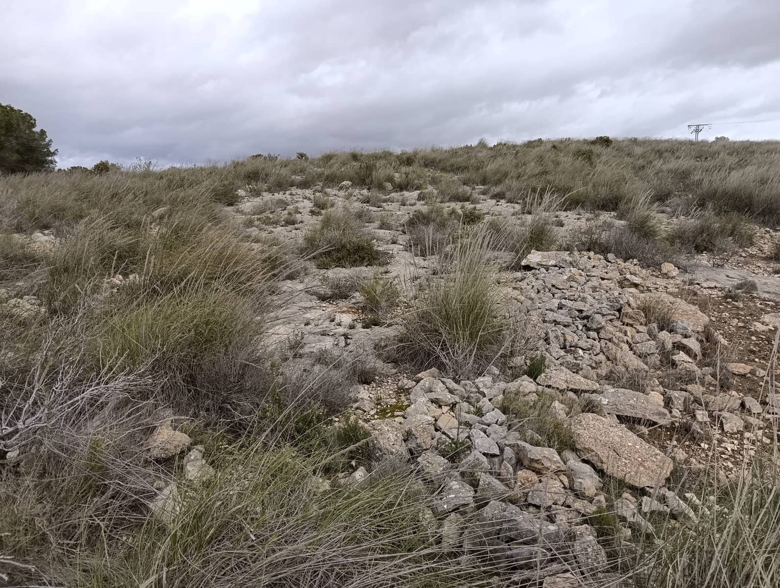 Terre non Aménagée à vendre à Abanilla - 65 000 € (Ref: 9894952)